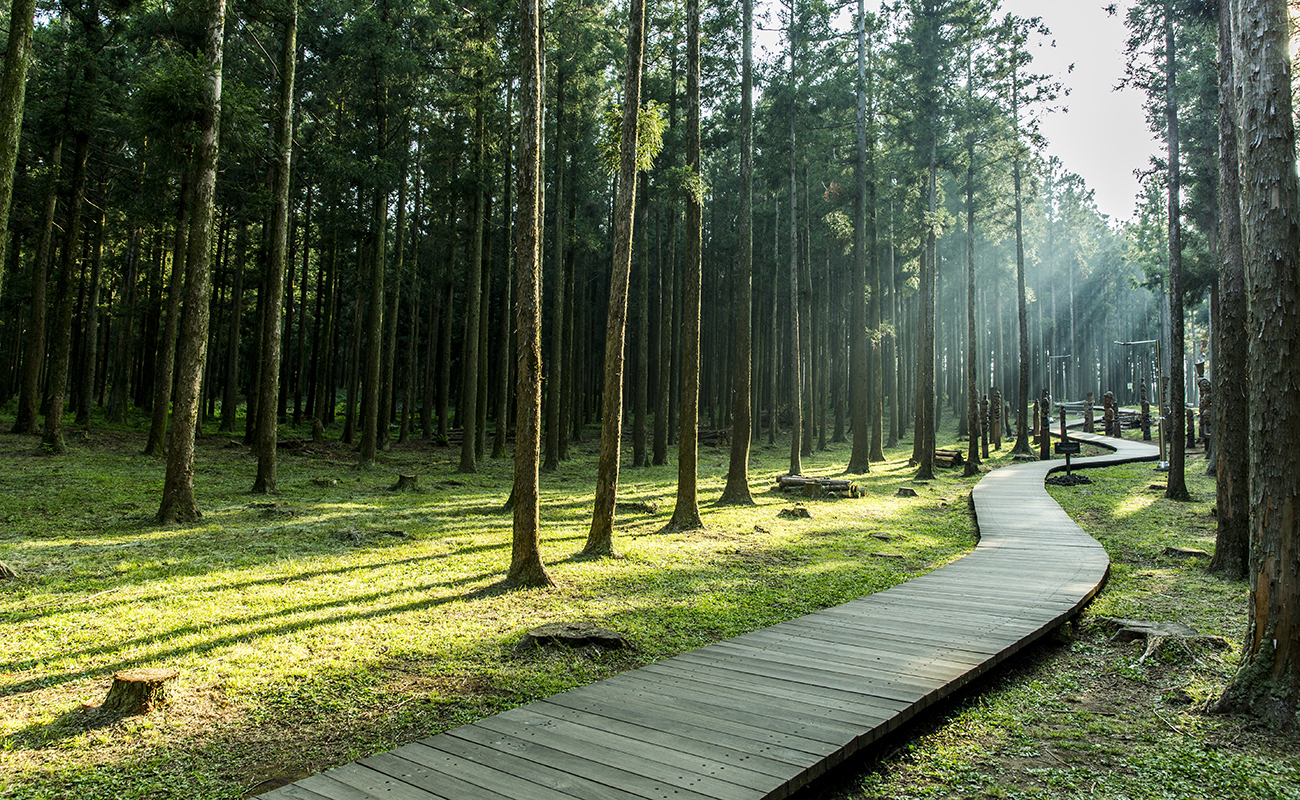 공원을 품은 쾌적한 삶